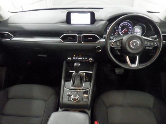 23950507_carP_l_15.jpg