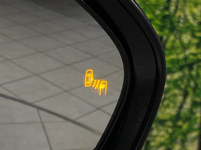 23282059_carP_l_19.jpg