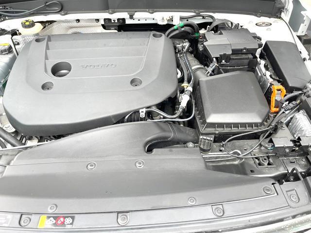 23282142_carP_l_18.jpg