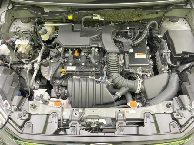 24664878_carP_l_16.jpg