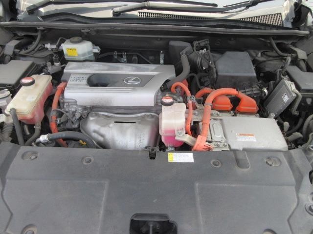 25521896_carP_l_5.jpg