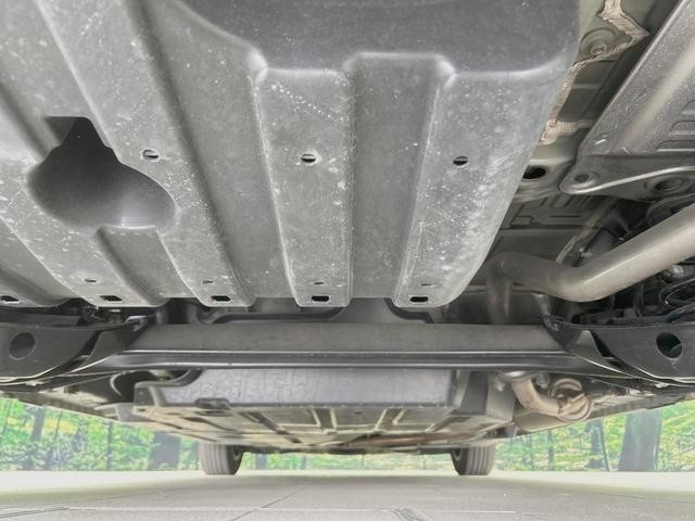 25364426_carP_l_20.jpg