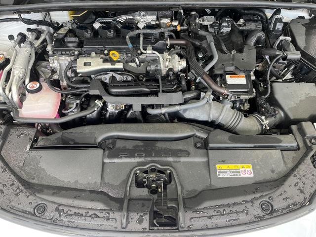 26838779_carP_l_16.jpg