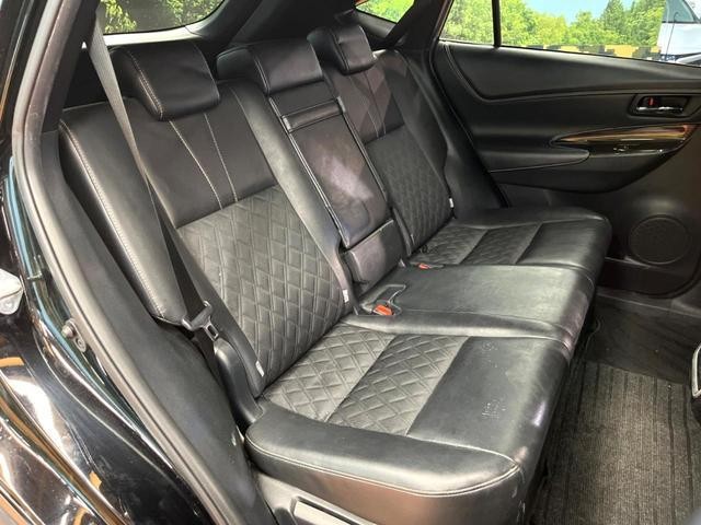 24725909_carP_l_19.jpg