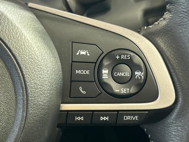 22819616_carP_l_10.jpg