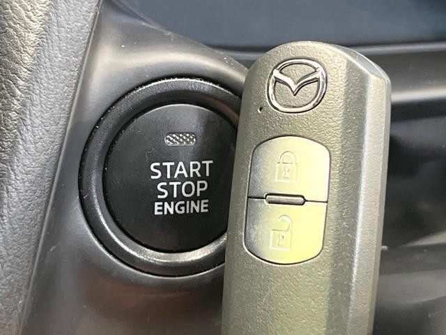 26105655_carP_l_14.jpg