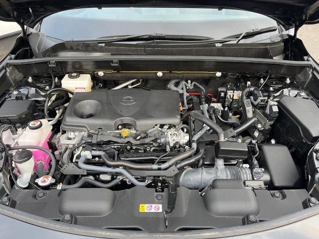 25942278_carP_l_16.jpg