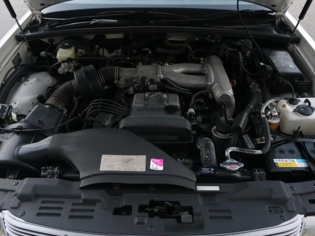 24938527_carP_l_17.jpg