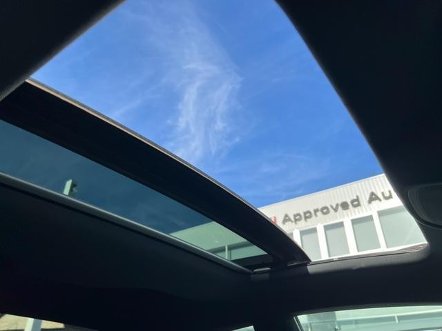 25420864_carP_l_14.jpg