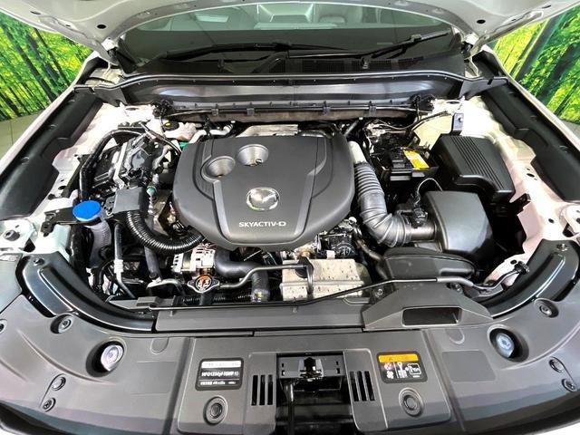 26084598_carP_l_16.jpg