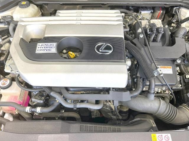 26968632_carP_l_16.jpg