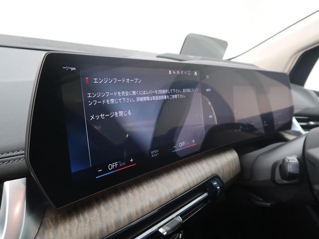 25236348_carP_l_10.jpg