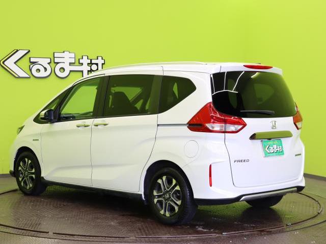 24126317_carP_l_12.jpg