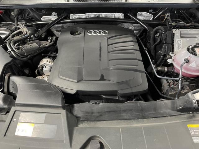 26188872_carP_l_18.jpg