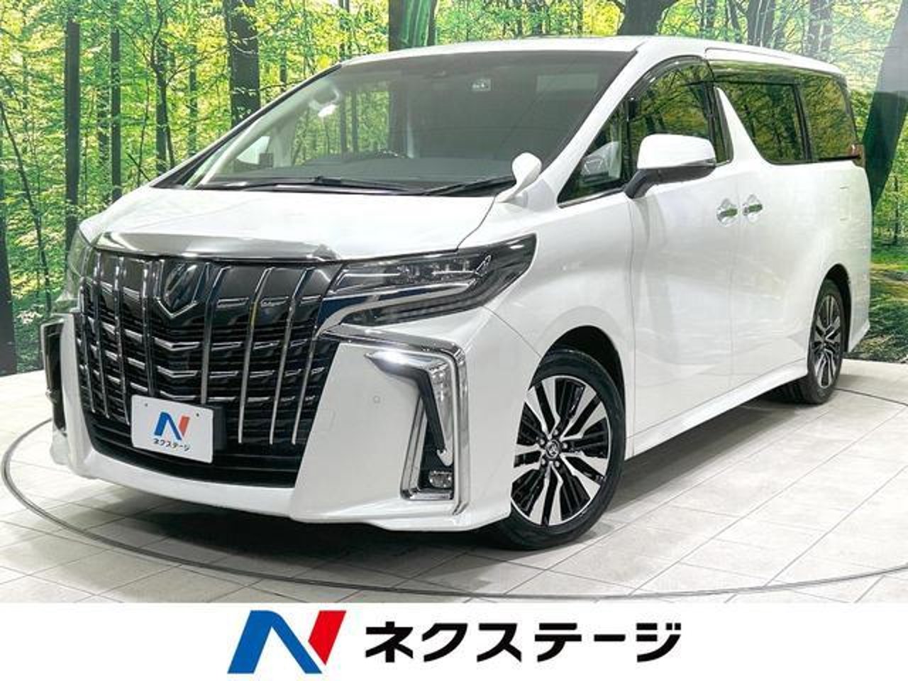 2021 Toyota Alphard, photo 1 of 1