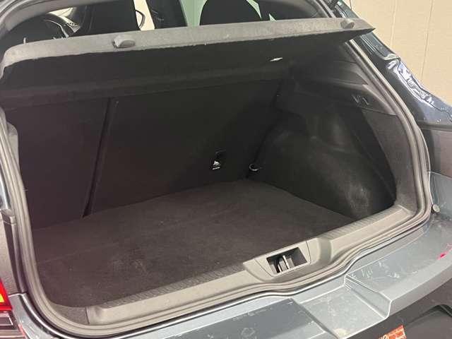 24398060_carP_l_18.jpg