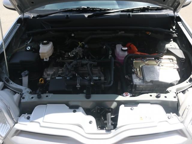 25123184_carP_l_17.jpg