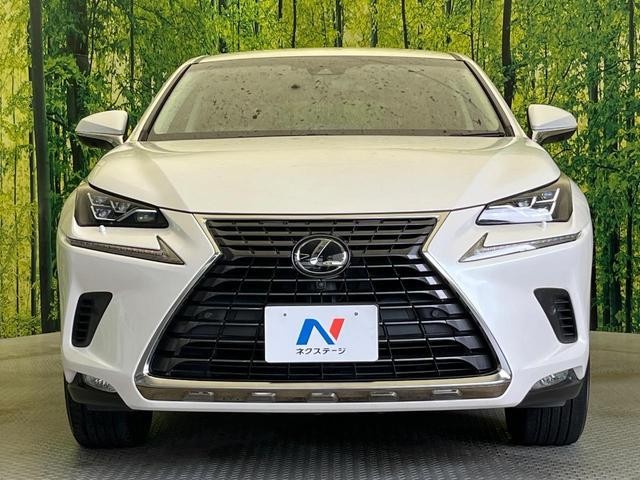 26467662_carP_l_8.jpg