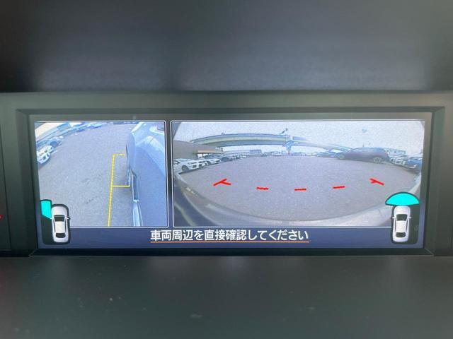 23555868_carP_l_19.jpg