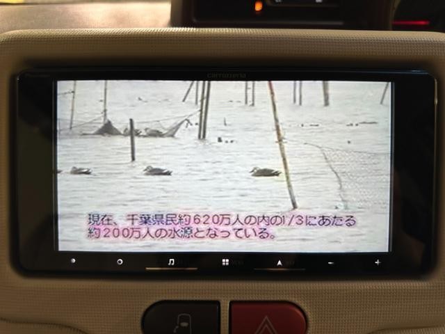 25522557_carP_l_15.jpg