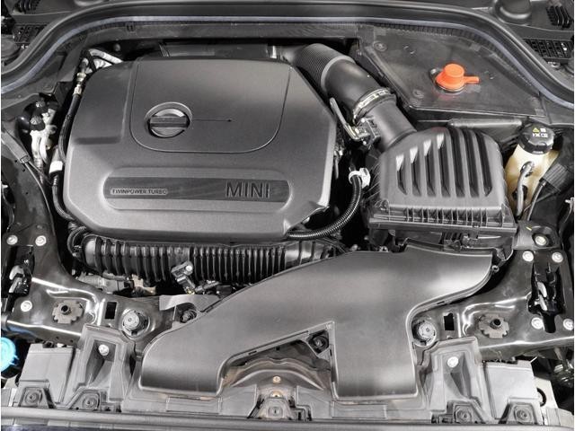 25628119_carP_l_14.jpg