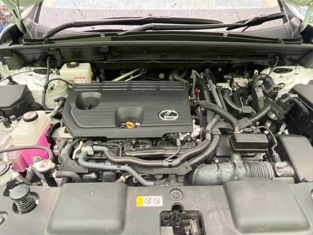 26838083_carP_l_16.jpg