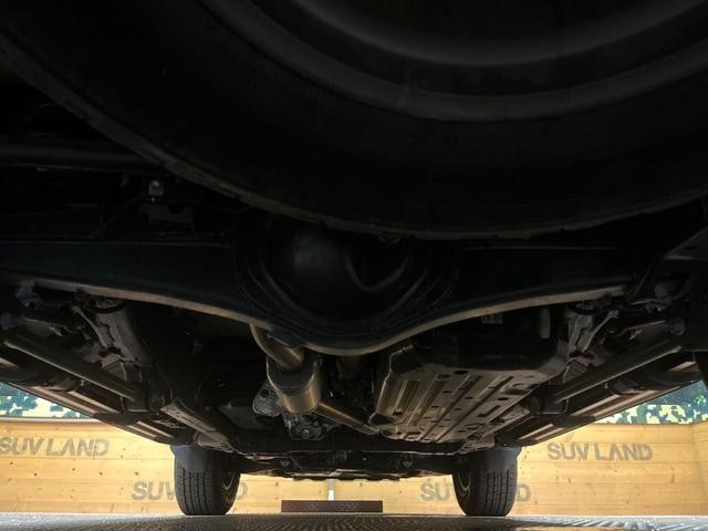 25466113_carP_l_20.jpg