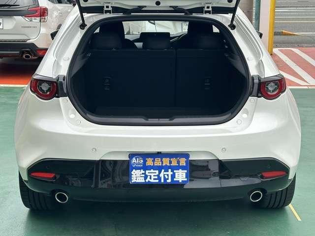 24385550_carP_l_17.jpg
