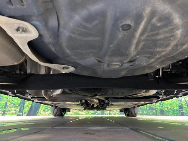 24090525_carP_l_18.jpg
