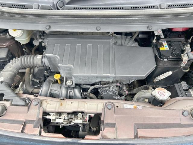 25550137_carP_l_18.jpg