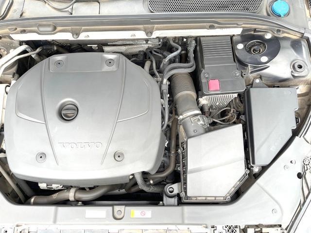 26380373_carP_l_20.jpg