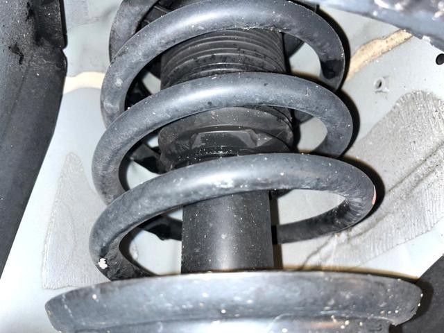 24953138_carP_l_18.jpg