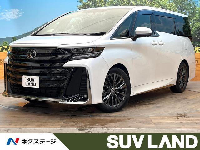 25384332_carP_l_1.jpg