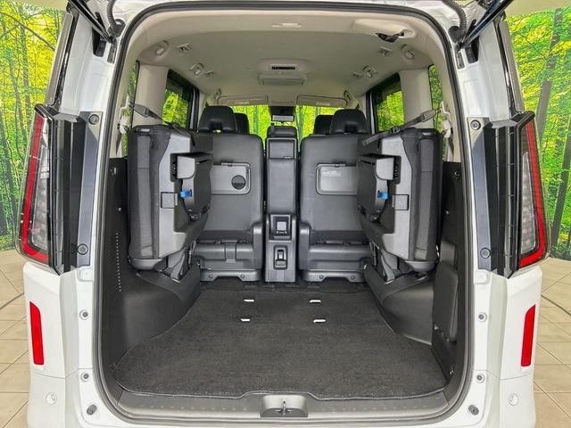 25550142_carP_l_5.jpg