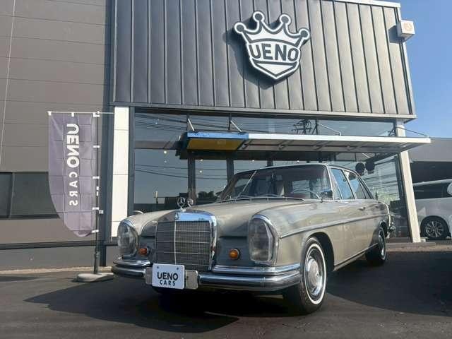 24028066_carP_l_4.jpg