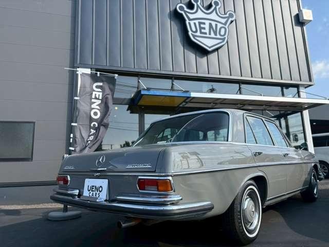 24028066_carP_l_5.jpg