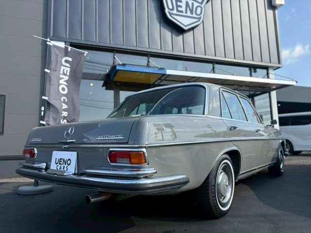 24028066_carP_l_6.jpg