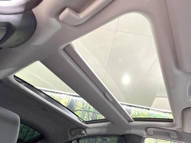 27052317_carP_l_10.jpg