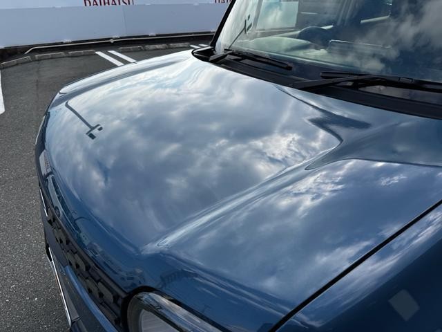 26855122_carP_l_19.jpg