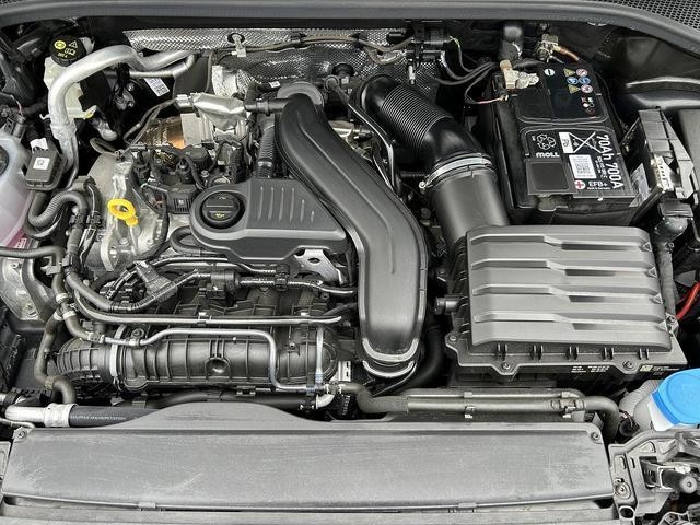 24948197_carP_l_12.jpg