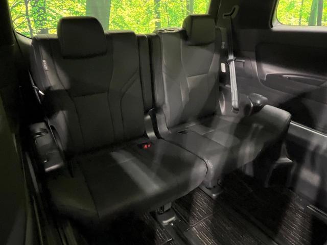 23846603_carP_l_5.jpg