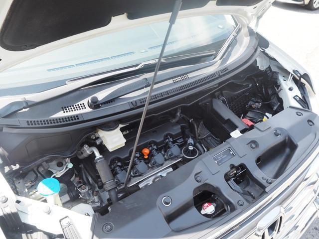 23708961_carP_l_20.jpg