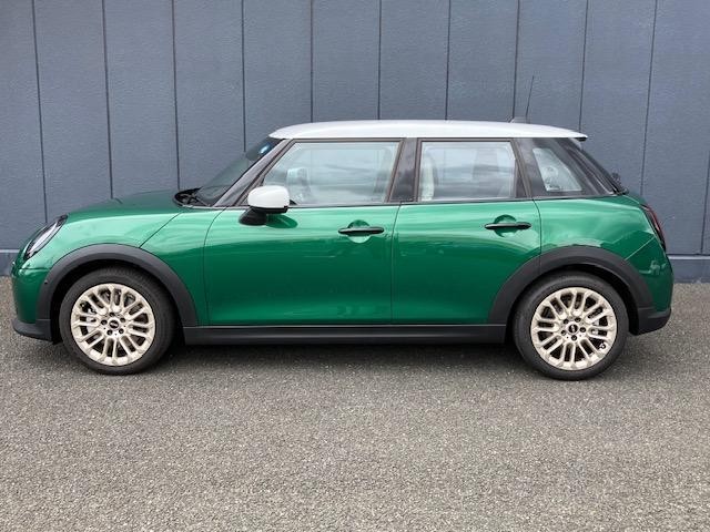 26085183_carP_l_9.jpg