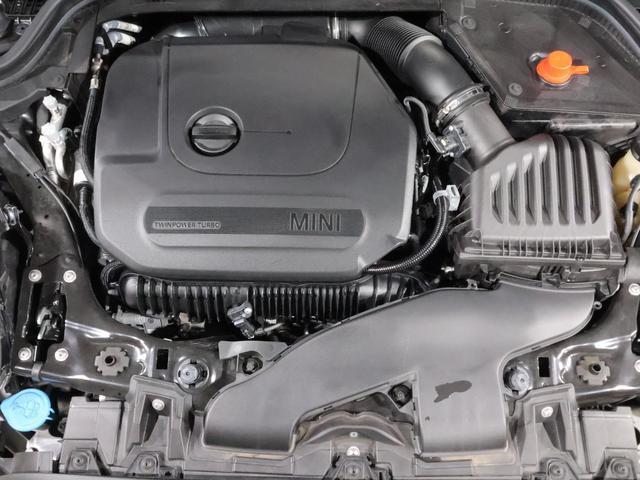 23594754_carP_l_14.jpg