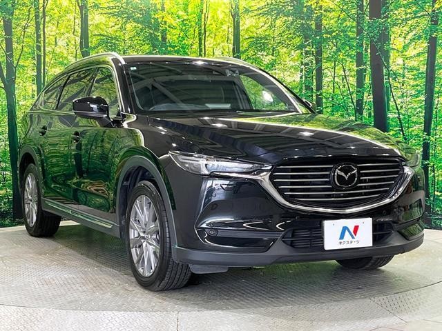 24602381_carP_l_12.jpg