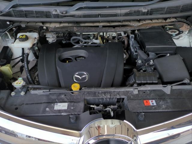 25278981_carP_l_17.jpg