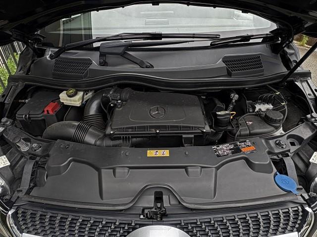 23540865_carP_l_17.jpg