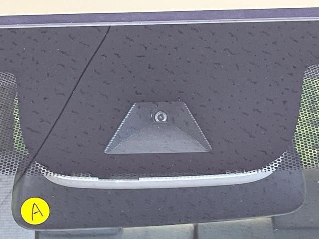 26189555_carP_l_15.jpg