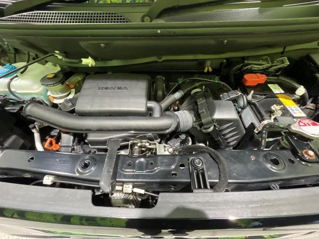 24602077_carP_l_18.jpg