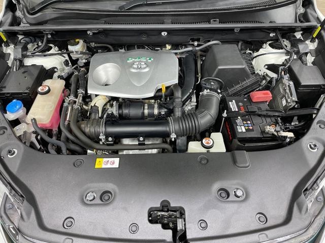 26380563_carP_l_16.jpg